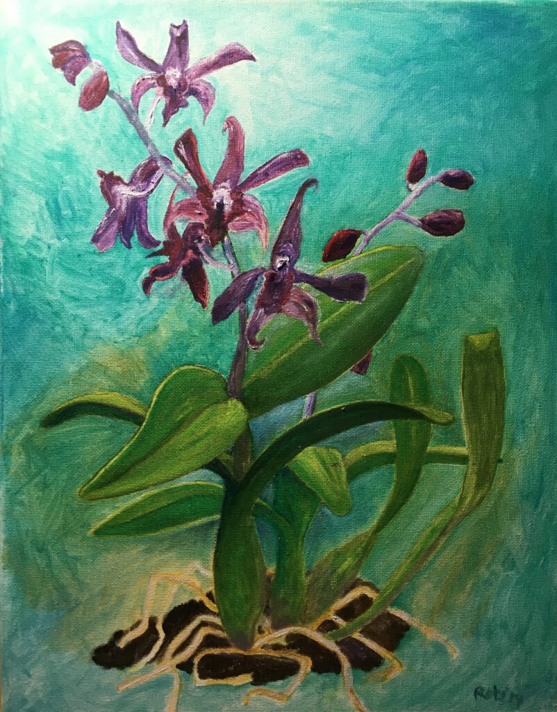 Orchid One. Original by Robin Worley