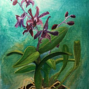 Orchid # 1 by Robin Worley